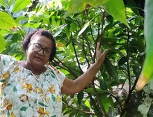 O preço do cacau bateu recorde e deixou produtores da Bahia eufóricos — mas aí veio o 'banho de água fria'
