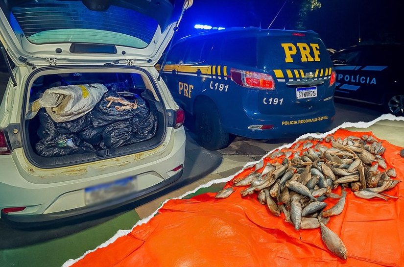 PRF apreende carga irregular de pescado e cumpre mandado de prisão em Várzea Grande