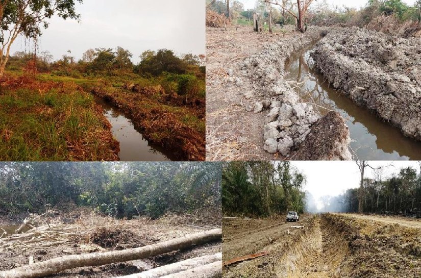 PM encontra crime ambiental em área rural de Cáceres; R$ 150 mil em multas