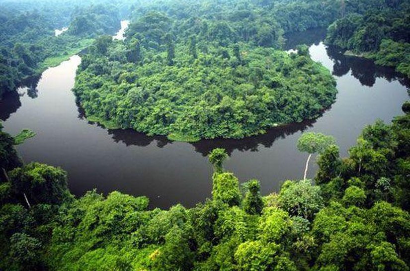 Governo de MT e O.N.E. Amazon firmam convênio de US$ 100 milhões para preservação da Amazônia