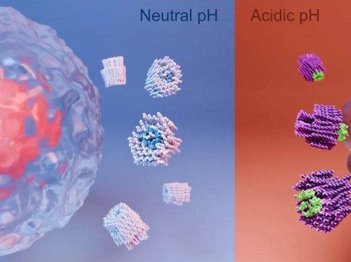 Cientistas desenvolvem nanorrobôs que podem “matar” células cancerígenas