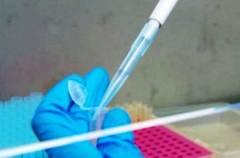 Mato Grosso tem 140.375 mil casos da Covid 19 e 3.789 mil mortes neste domingo, 25