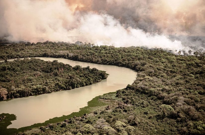 O Pantanal de MT queima e aumenta a pressão sobre a gestão ambiental no Brasil