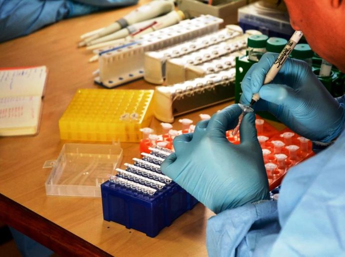 Governo de MT envia 300 mil testes rápidos para os municípios a partir desta quinta-feira