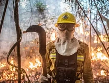 O drama dos brigadistas na maior temporada de fogo em 14 anos: 'Nossa vida não vale nada'