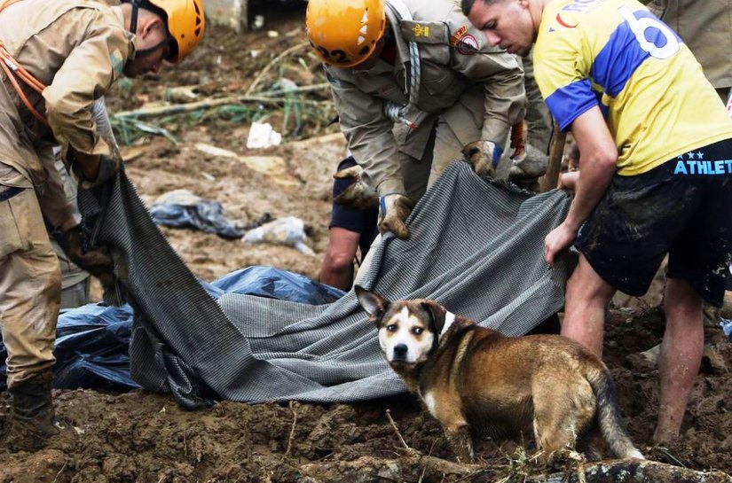 Chuva em Petrópolis já deixou mais de 100 mortos