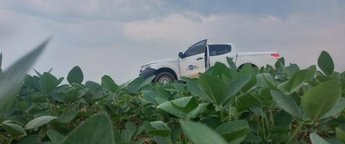 Vazio sanitário da soja já está em vigência em Mato Grosso