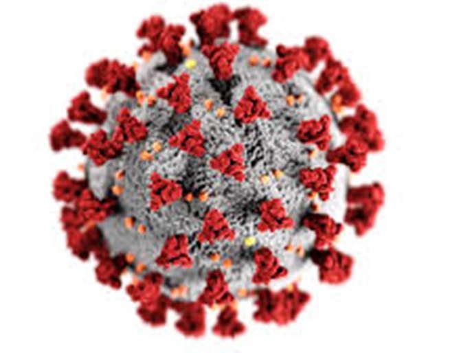 Mato Grosso tem 18.356 casos e 706 mortes pela Covid-19