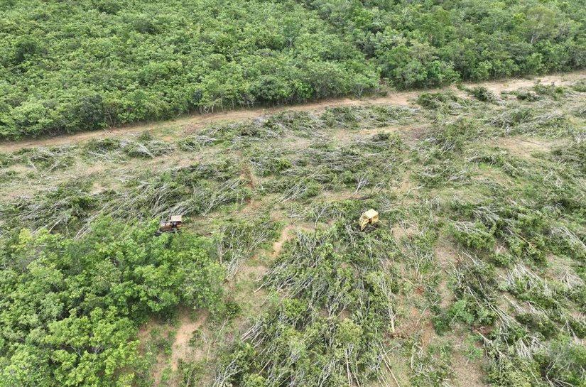 Veja Foto e Vídeo: Sema e PM flagram desmatamento ilegal com apoio de drones e tecnologia de geoprocessamento