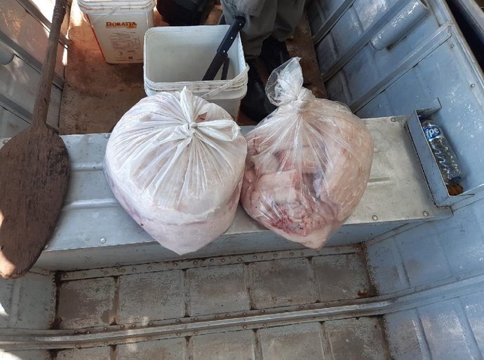 Sema e PM apreendem 26 kg carne de jacaré durante fiscalização no rio Cuiabá