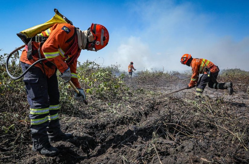 Governo de Mato Grosso publica decreto que estabelece período proibitivo de uso do fogo