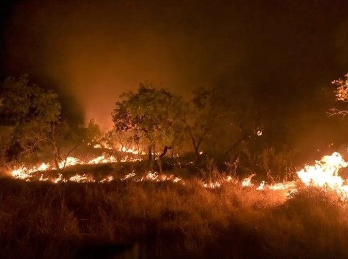 Brasil reduz em 12% emissões de gases do efeito estufa em 2023