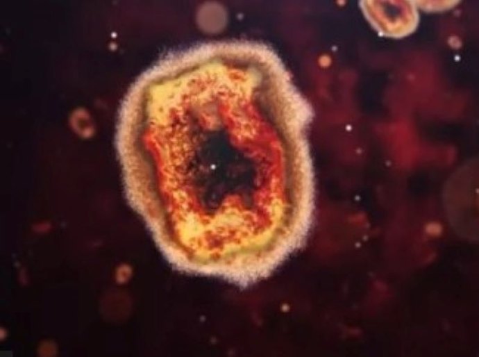 Monkeypox: o que caso de varíola dos macacos em cachorro pode significar para o futuro da doença