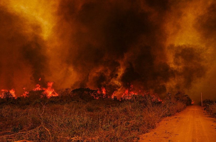 Pantanal em chamas: túnel de fogo em MT e MS