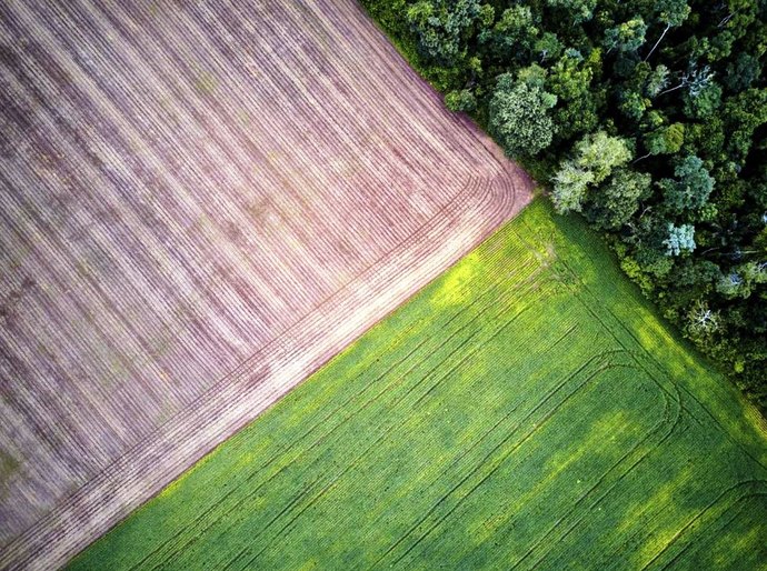 Um quinto das exportações de soja da Amazônia e Cerrado à UE tem rastro de desmatamento ilegal