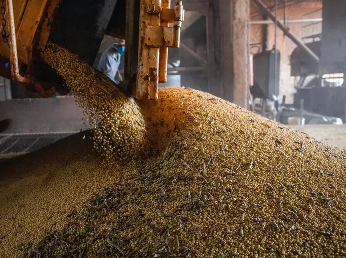 Economia brasileira cresce 1,1% no 1º trimestre