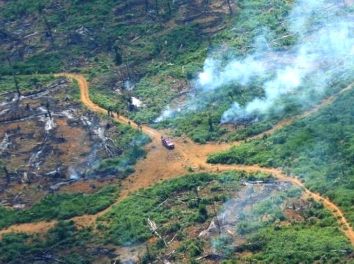 COP26: Na contramão do mundo, Brasil teve aumento de emissões de CO2 em ano de pandemia