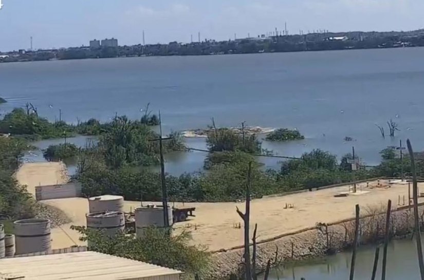 Alagoas: governo estuda transformar área da Braskem em parque estadual