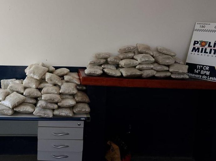 Operação apreende mais de 90 quilos de skunk e provoca prejuízo R$ 348 mil às facções criminosas