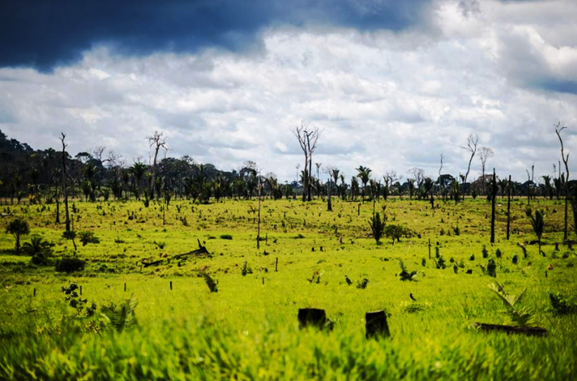 MP pede condenação de produtor rural ao pagamento de R$ 12 milhões