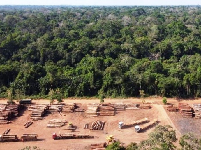 Brasil é 4º no mundo em ranking de emissão de gases poluentes desde 1850