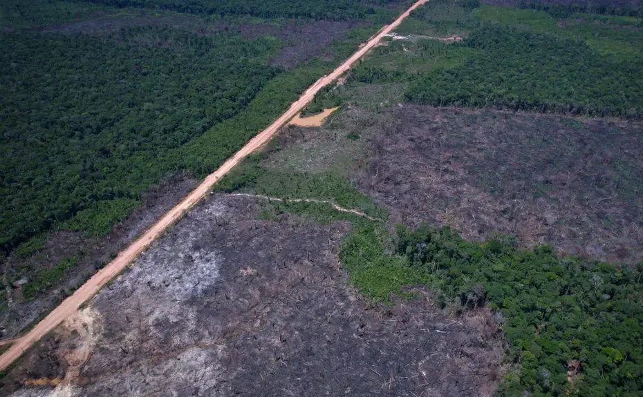 Desmatamento na Amazônia cai 36,87% no último ano