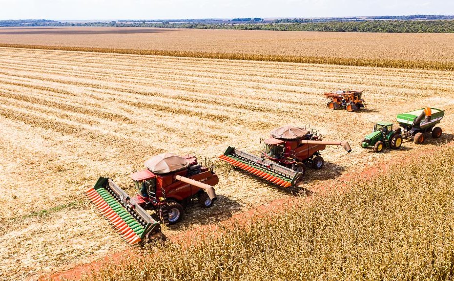 Mato Grosso inicia colheita de milho com produção estimada em 50,3 milhões de toneladas