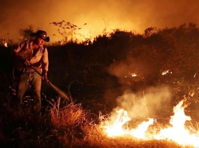 Incêndios no Pantanal: por que o fogo ainda ameaça o ecossistema mesmo após a chegada das chuvas