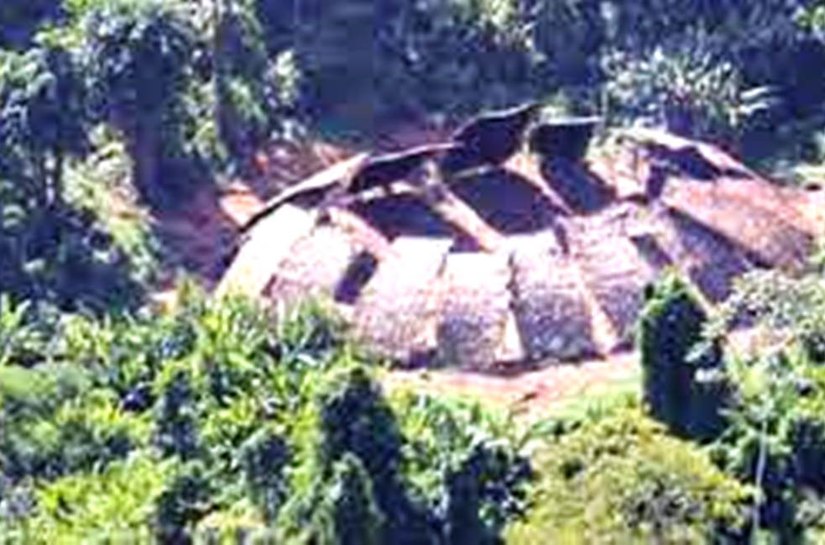 “A 12 Km”: indígenas Yanomami isolados nunca viram o garimpo tão próximo