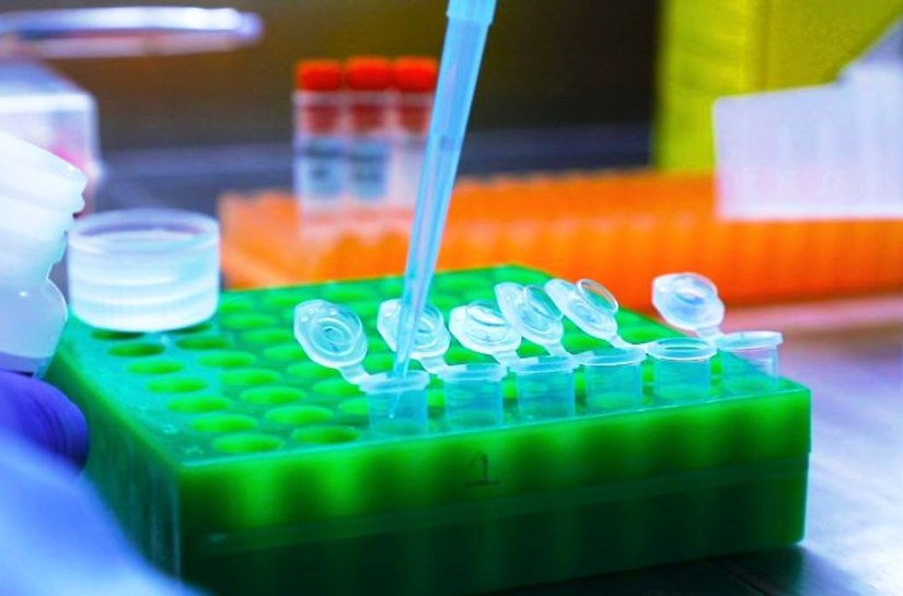 Brasil tem mais de 100 casos confirmados de Covid-19 causados pela variante Ômicron