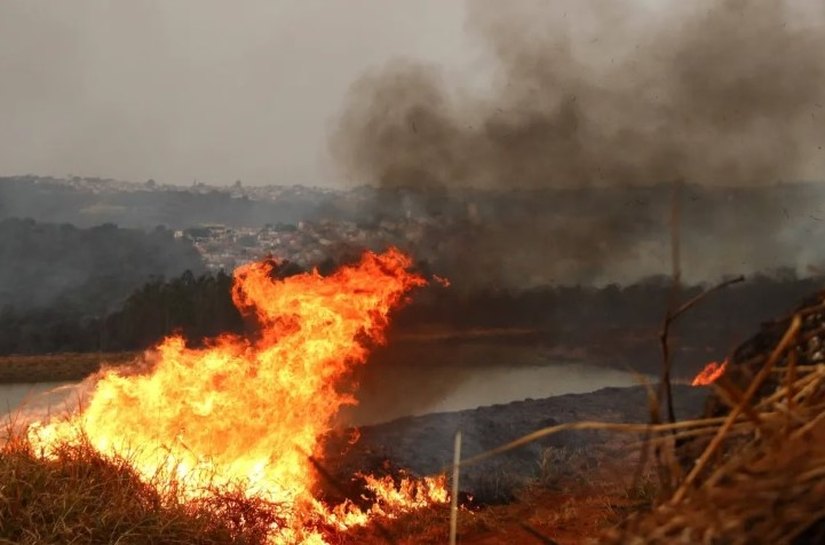 Polícia Federal vai investigar causas de incêndios em São Paulo