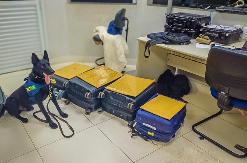 PRF apreende mais de 21 kg de cocaína em três ocorrências durante fiscalizações na BR-364 em Mato Grosso