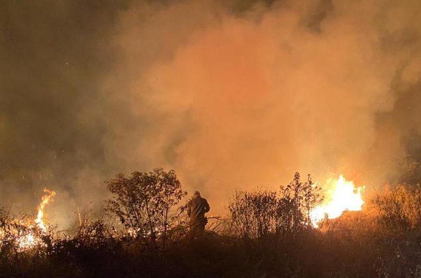 Em 13 dias, pantanal tem mais de 2.000 focos de incêndio em novembro, maioria em MT