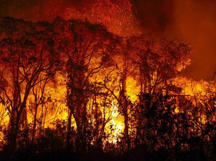 Pantanal: por que chuvas não são suficientes para proteger bioma de fogo recorde