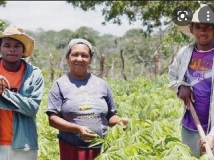 As técnicas agrícolas capazes de reduzir dependência do Brasil por fertilizantes