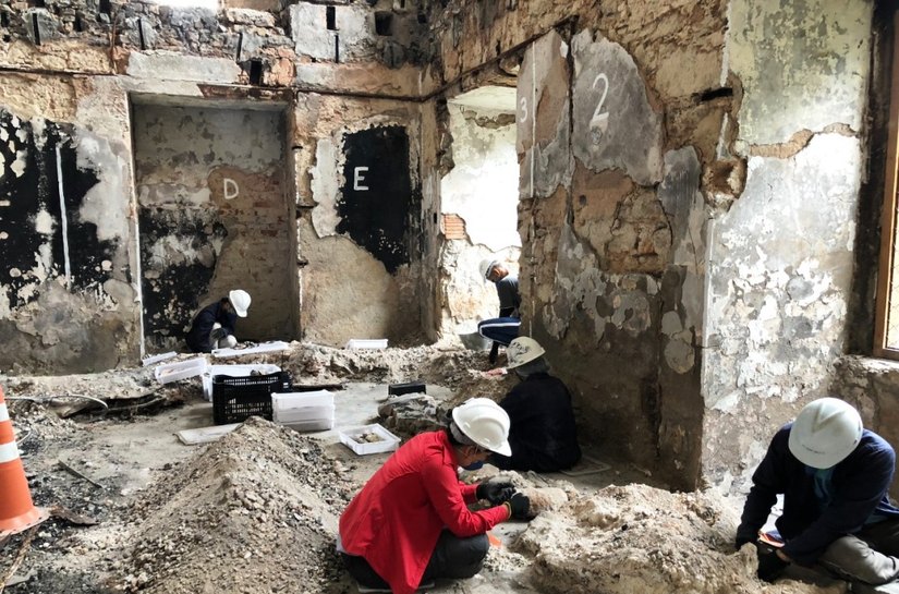 Esqueleto de dinossauro de 80 milhões de anos é resgatado de escombros em museu