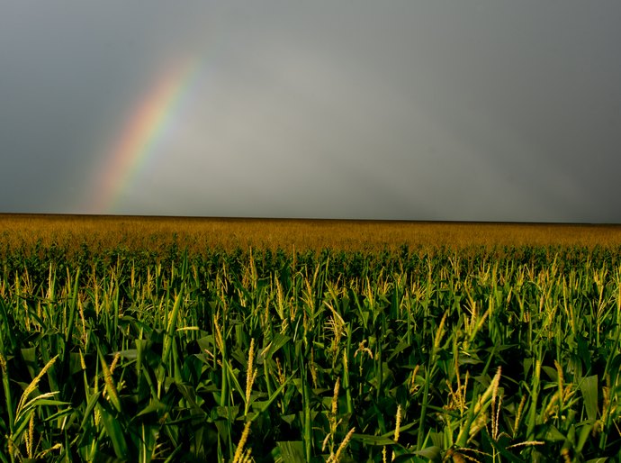 Estudo visa aumentar área irrigada em MT e garantir desempenho da produção agrícola em período de seca