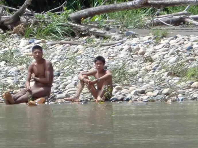 'Irmãos na floresta': a luta para proteger aldeia isolada da Amazônia