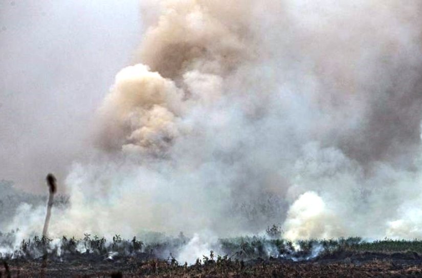 Chuva preta e dias escuros: como queimadas no Pantanal e Amazônia podem afetar outras regiões
