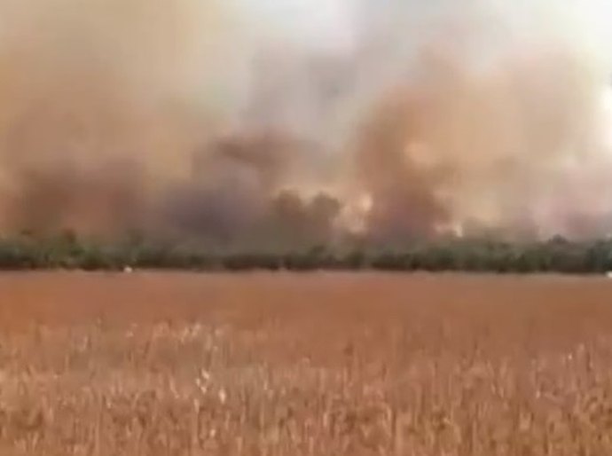 Aumenta em 80% os focos de queimada em Mato Grosso