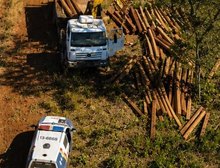 Polícia Militar prende dois homens suspeitos por extração ilegal de madeira em Campinápolis,MT