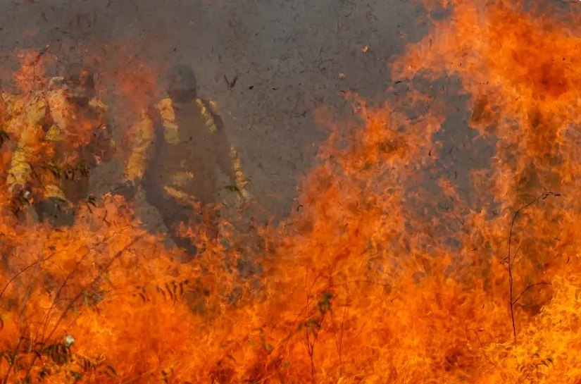 Pantanal acumula em 12 meses mais de 9 mil focos de incêndio