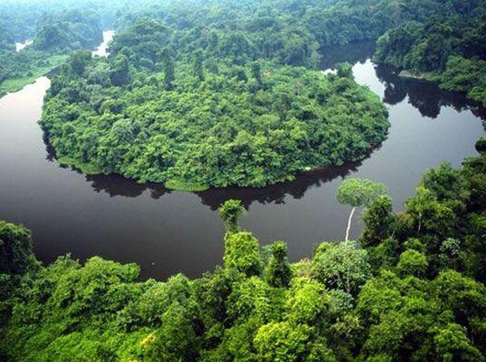 Governo de MT e O.N.E. Amazon firmam convênio de US$ 100 milhões para preservação da Amazônia