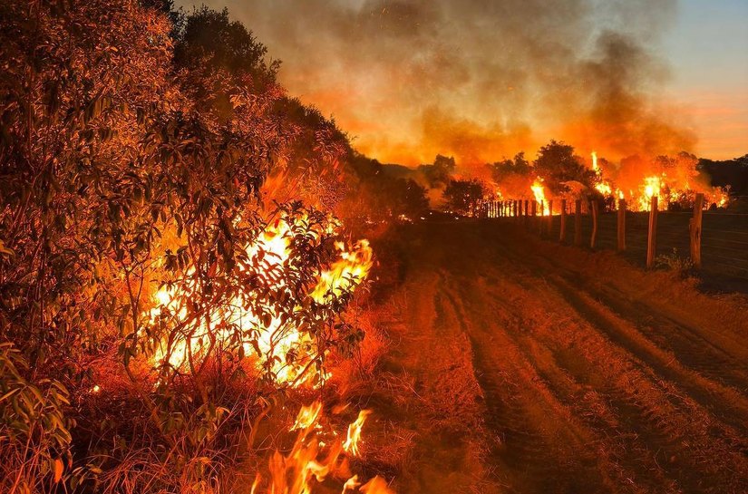 MT e MS somam quase 4 mil focos de incêndio em novembro; Pantanal é afetado