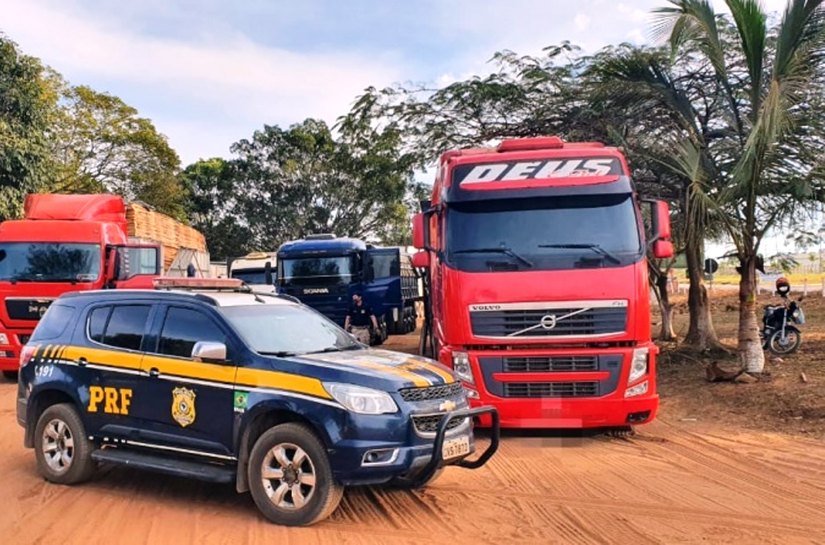 Veja Fotos: PRF realiza Operação Caapora III, e apreende mais de 800 m³ de madeira ilegal em MT