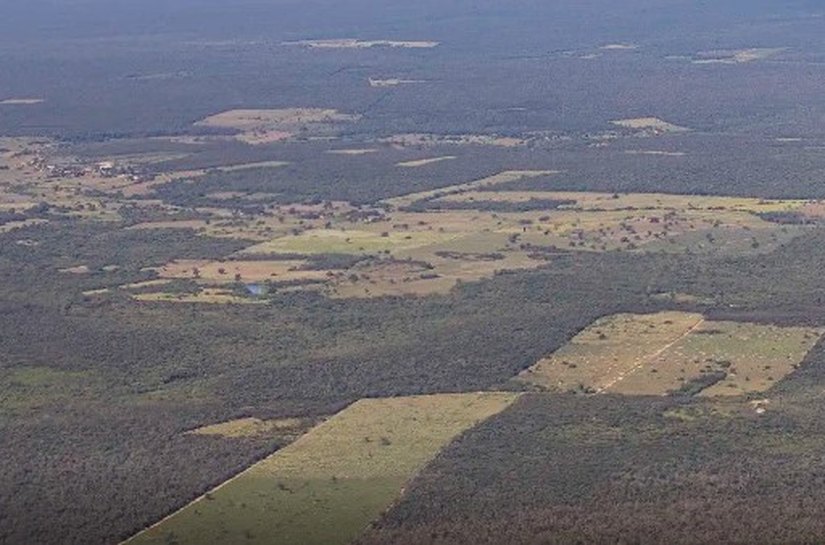 Desmatamento cai 55% na Mata Atlântica no primeiro semestre