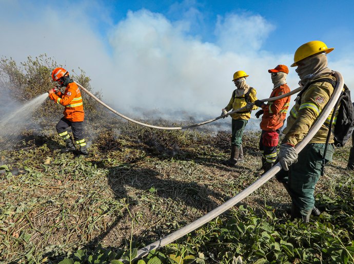 Corpo de Bombeiros extingue sete incêndios florestais e combate outros 45 neste domingo,08