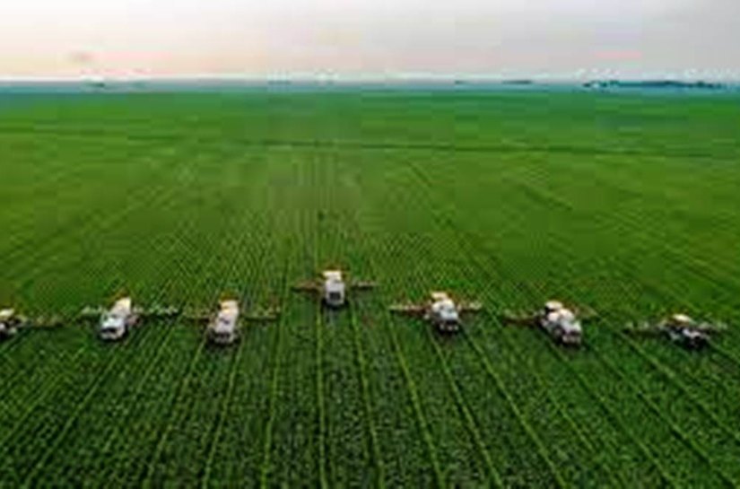 Preço das commodities agrícolas tem ‘boom’ em 2022, aponta Ipea