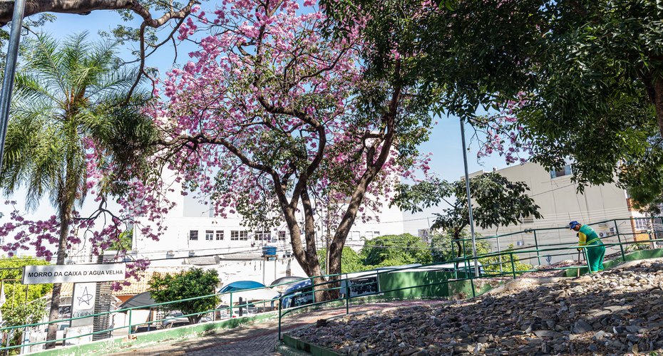 Prefeitura de Cuiabá realiza pagamento do salário de servidores e movimenta R$ 146 milhões na economia