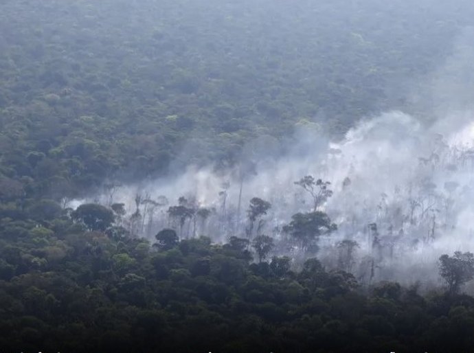 Amazônia Ocidental é região mais poluída do mundo, aponta monitoramento